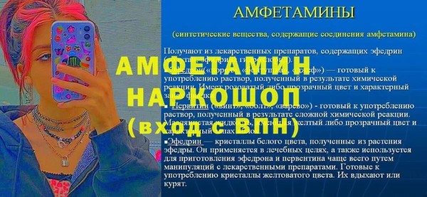 прущие грибы Балахна