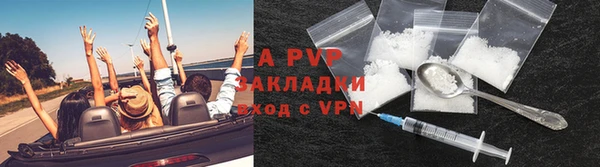 бошки Белокуриха