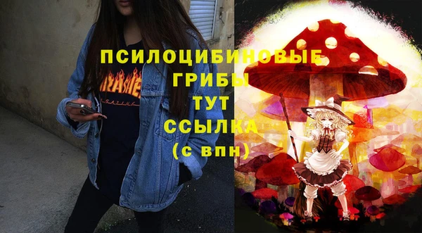 бошки Белокуриха