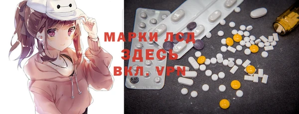 прущие грибы Балахна