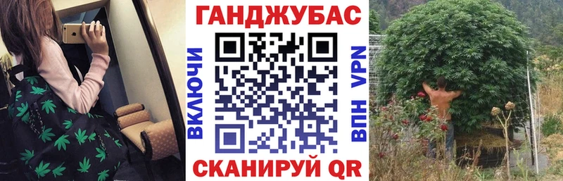 где можно купить наркотик  Николаевск  Каннабис гибрид 